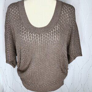 Express Copper & Brown Pullover Knit Sweater